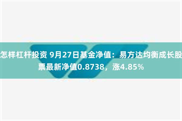 怎样杠杆投资 9月27日基金净值：易方达均衡成长股票最新净值