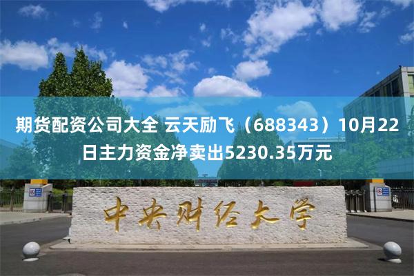 期货配资公司大全 云天励飞（688343）10月22日主力资