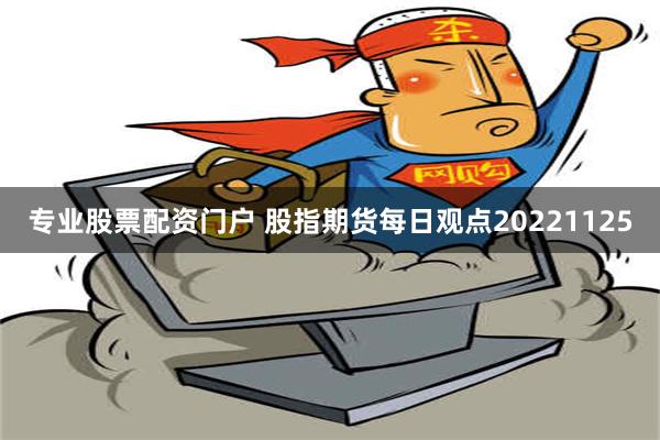 专业股票配资门户 股指期货每日观点20221125