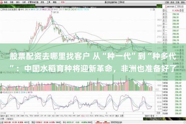 股票配资去哪里找客户 从“种一代”到“种多代”：中国水稻育种将迎新革命，非洲也准备好了