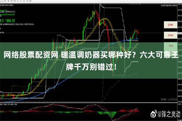 网络股票配资网 暖温调奶器买哪种好？六大可靠王牌千万别错过！