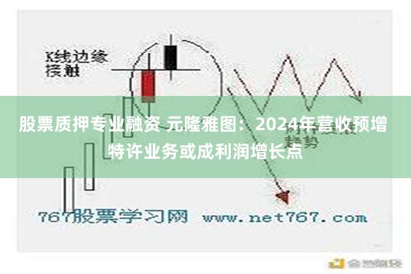 股票质押专业融资 元隆雅图：2024年营收预增 特许业务或成